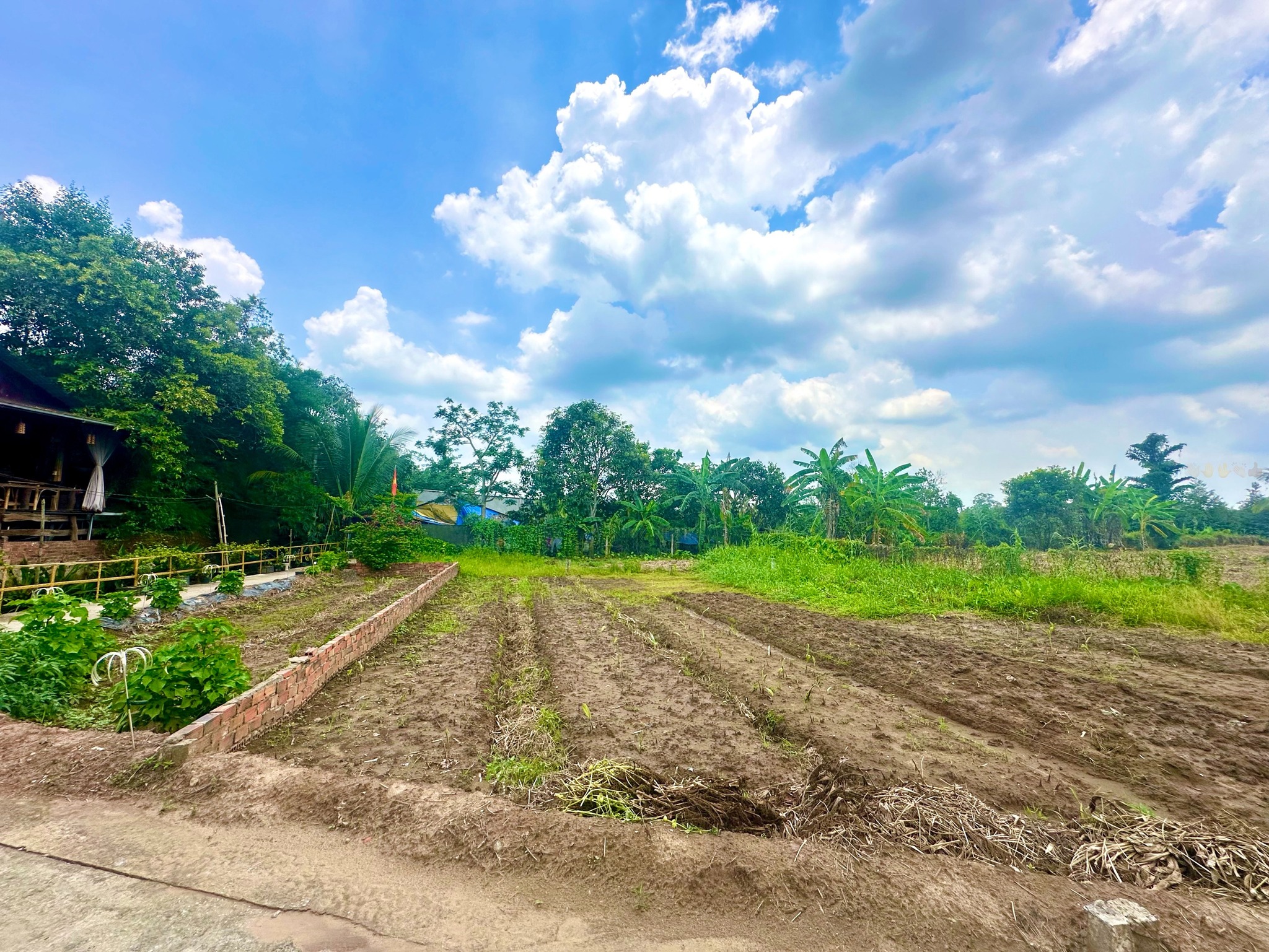 Mở ra một không gian sống mơ ước với nền đất thổ cư tuyệt đẹp