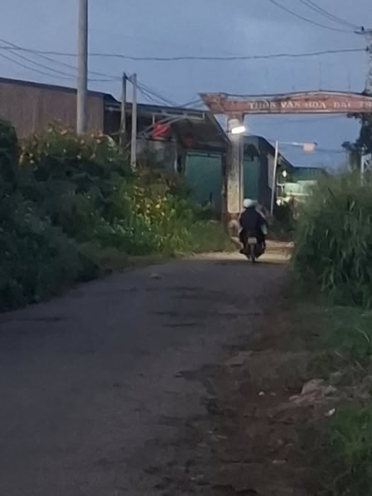 Đất vàng thôn Bắc Trung 11m x 20m, full thổ cư, giá hời