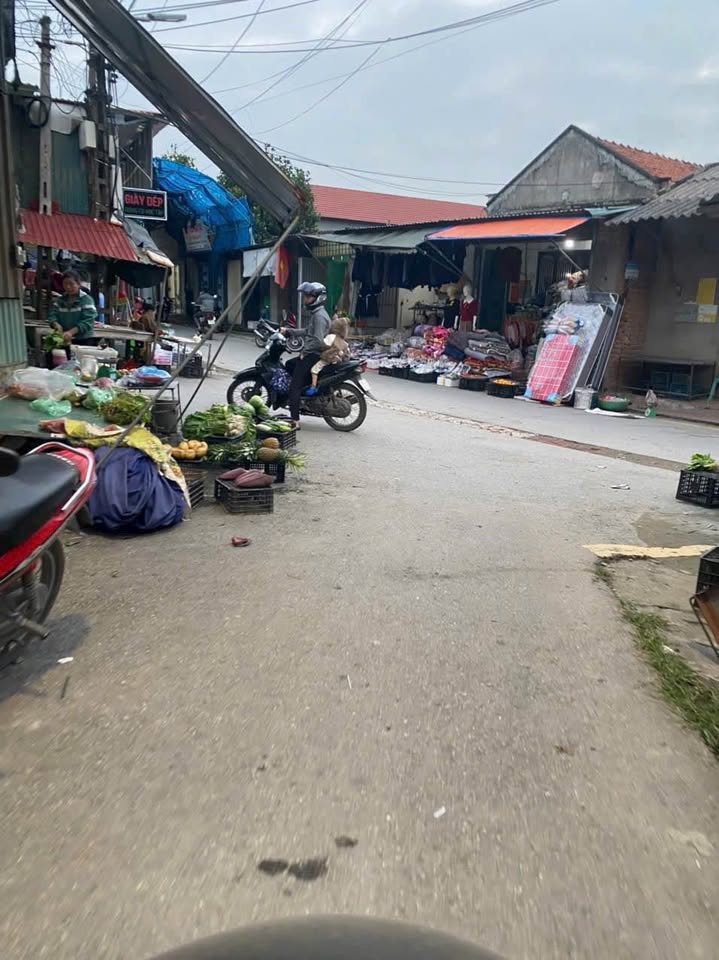 Đất Vải xịn xò, gần chợ, trường, giá iu thương