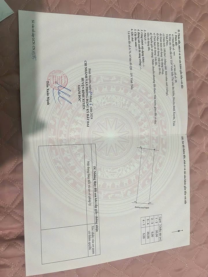 Đất vàng trục chính Vinh Tiến, Vĩnh Phúc, diện tích 100m², mặt tiền 5m, giá hời