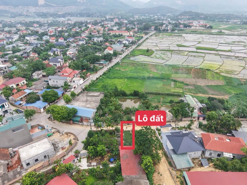Bán gấp đất Tam Đảo, giá sốc mặt tiền 6m, kinh doanh ngay, ô tô tránh