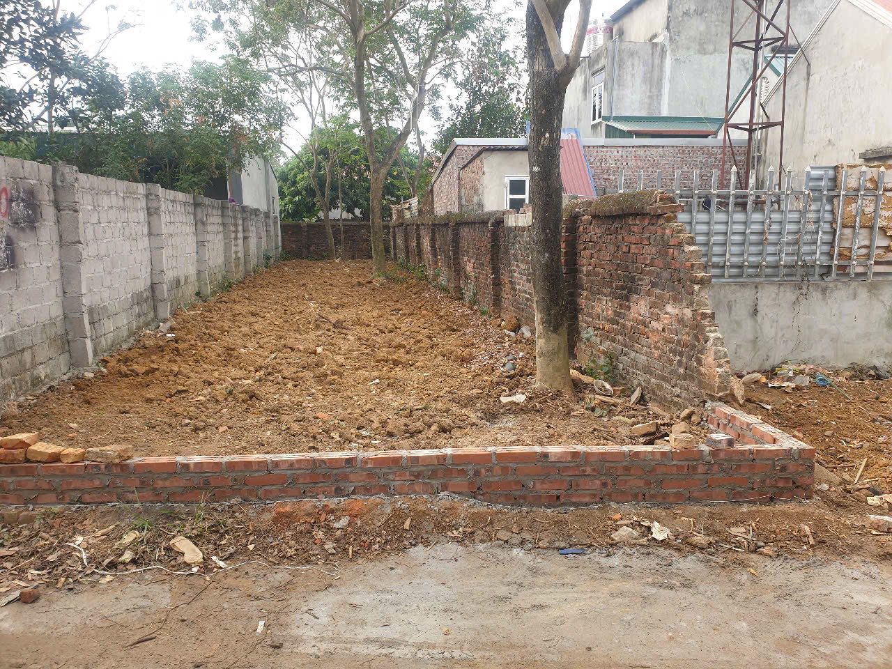 Đất vàng Đông Yên, 134m2 sổ đẹp, mặt tiền 5m, gần tỉnh lộ , cơ hội đầu tư không thể bỏ lỡ