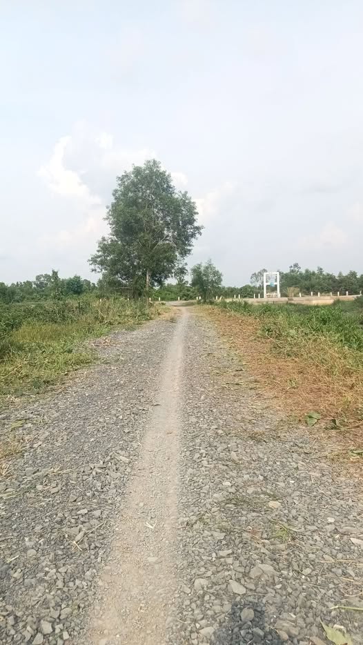 Đất vườn Long An lô đầu tư hấp dẫn, sổ sẵn, view kênh lớn