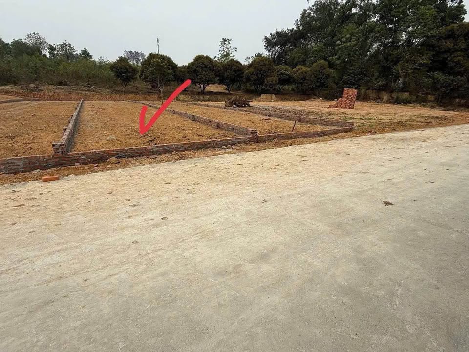 Chào mừng quý vị đến với mảnh đất mơ ước tại thôn Mới, xã Hướng Đạo, huyện Sông Lô, tỉnh Vĩnh Phúc