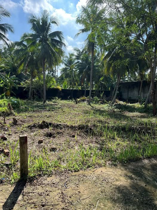 Đất Vĩnh Long 351m2 full thổ cư, ngang 12m, giá nhỉnh 1 tỷ, xây trọ bao lãi