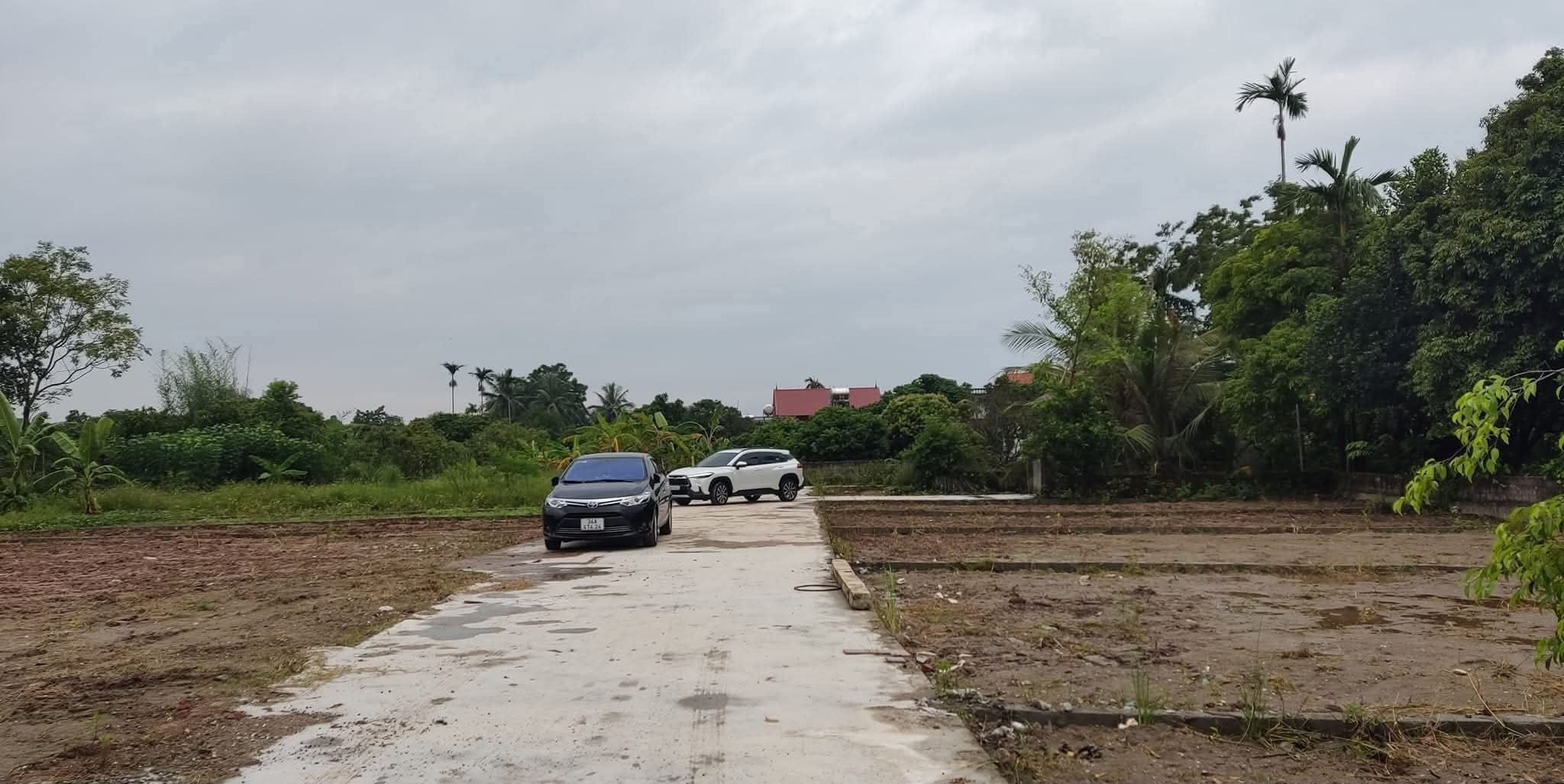 Đất vàng 83m2, mặt tiền 8,5m, ô tô đỗ cửa, giá chỉ hơn 500 triệu