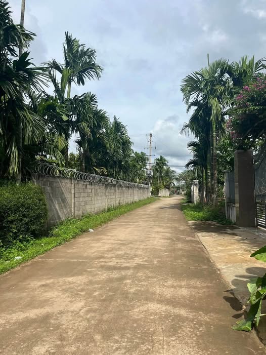 Mảnh đất thôn 1 Tân Hoà Eatieu, nơi an cư lạc nghiệp