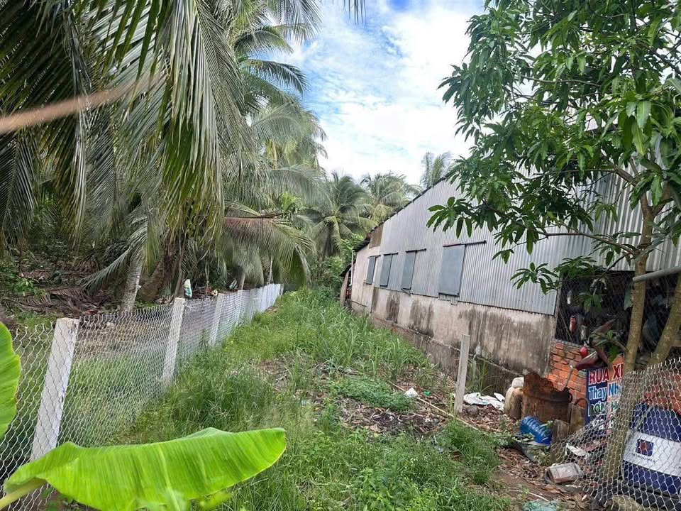 Bán đất nền thổ cư mặt tiền Quốc Lộ 57C, Thuận Điền, Giồng Trôm 790 triệu