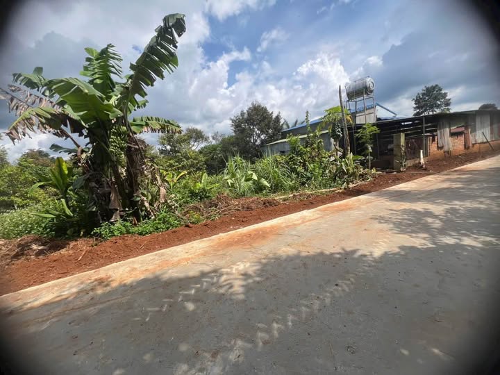 Siêu phẩm đất nền Buôn Dế, sổ hồng riêng từng lô