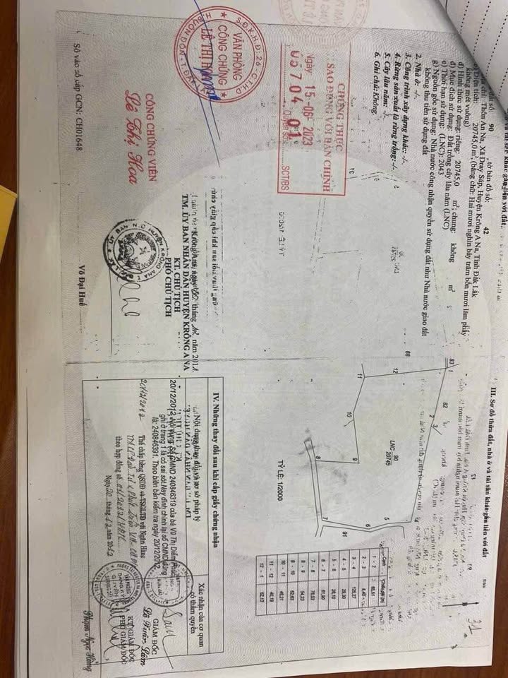 Bán 2.2ha đất cafe Buôn Kuop - Dray Sap, Đắk Lắk, sẵn sàng thu hoạch