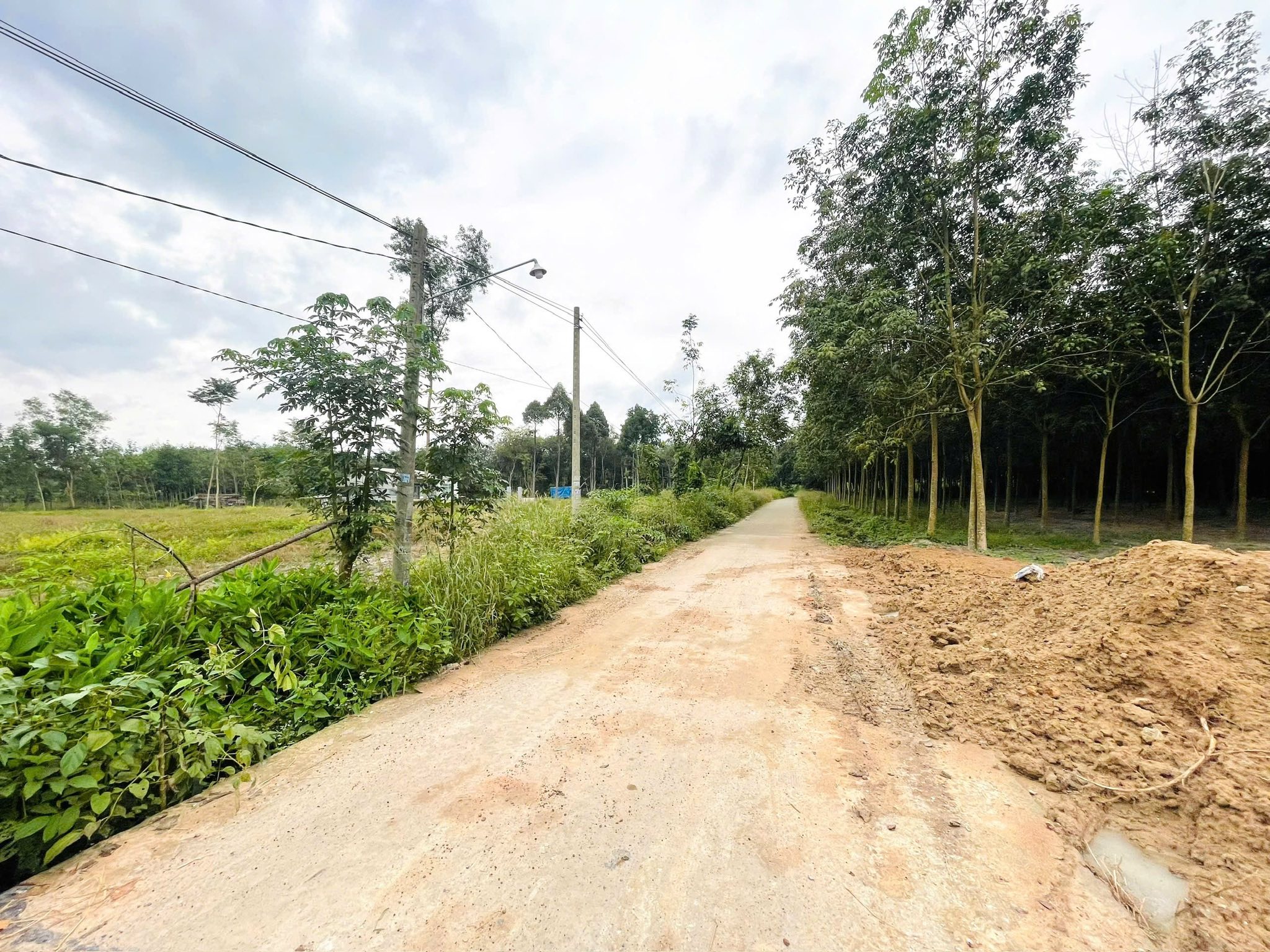 Sốc tận óc 3 lô đất liền kề, nở hậu tài lộc, giá chỉ 550 triệu