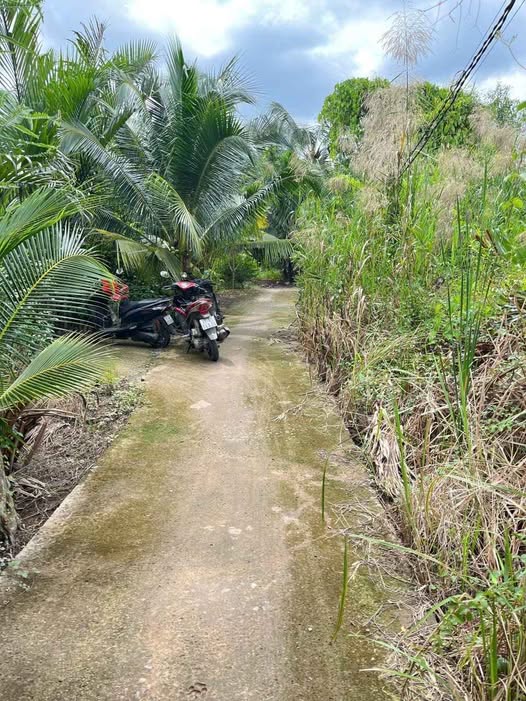 Nền Phú An Hòa - Lô đất vuông vắn, gần KCN Giao Long, tiềm năng sinh lời