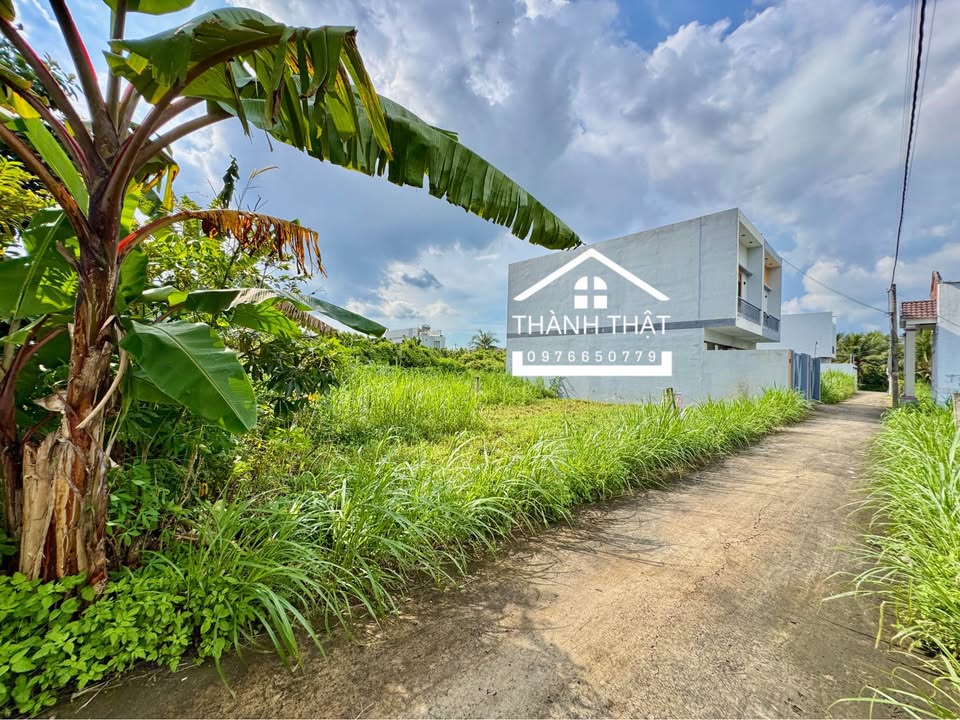 Cần bán 2 nền đất thổ cư liền kề tại hẻm Trần Thị Thơm, ấp Bình Phong, Tân Mỹ Chánh, thành phố Mỹ Tho, tỉnh Tiền Giang