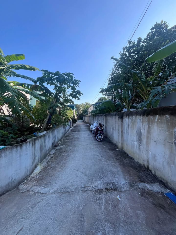 Đất Đông Tân, Thanh Hóa 110m2 thổ cư, ngõ ô tô đỗ cửa - giá hời