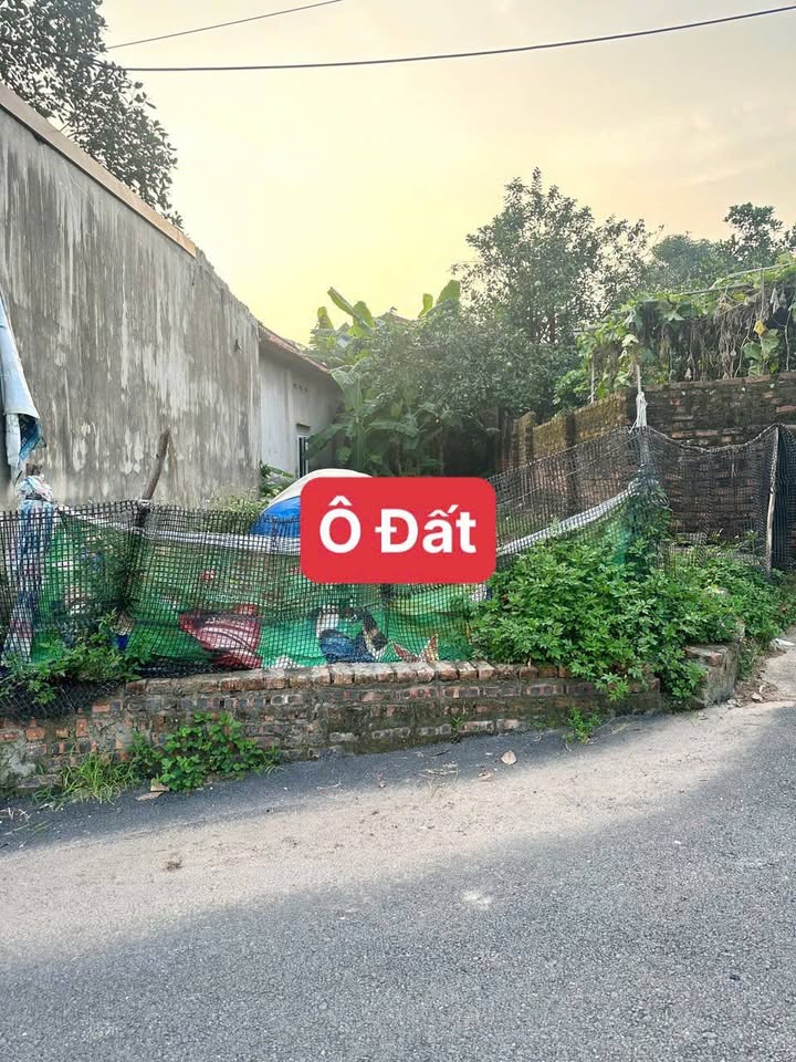 Siêu phẩm đất nền 100m2 tại Tam Lộng, Hương Sơn, Bình Xuyên, Vĩnh Phúc