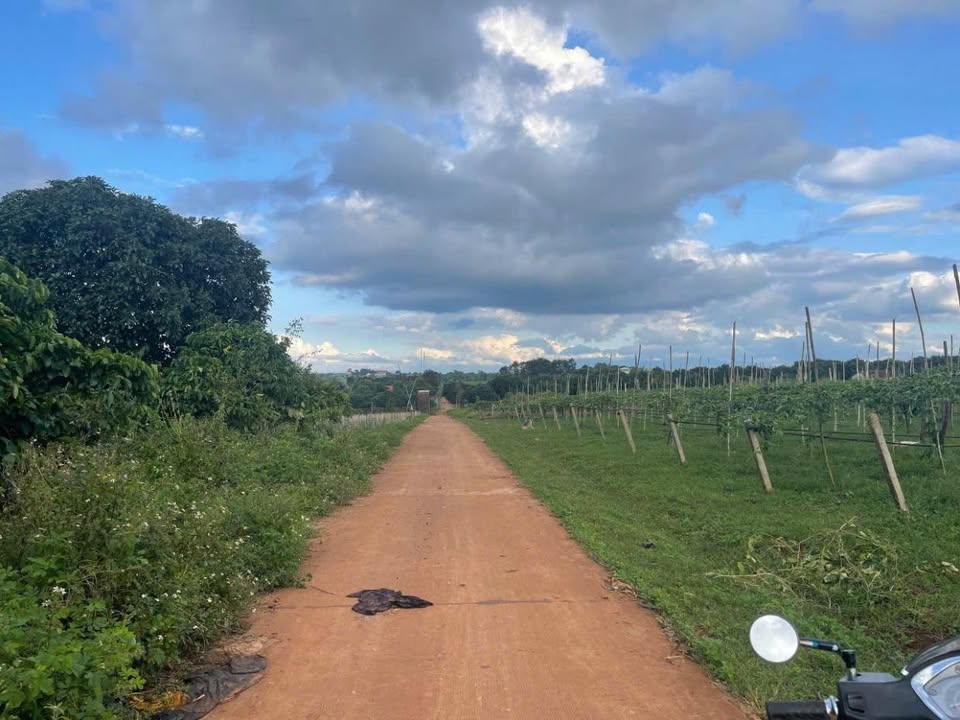 Bán nhanh lô đất 1000m2 hẻm ô tô thông tại Phường An Phú, Gia Lai