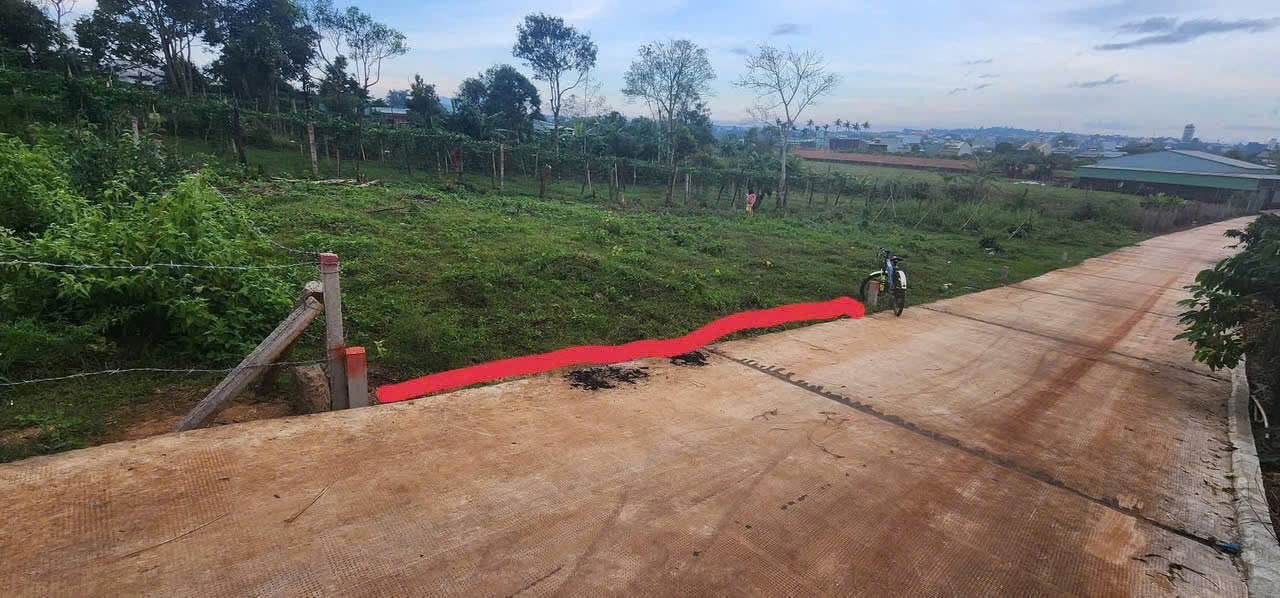 Đất nở hậu hẻm 280 Phạm Ngọc Thạch, iá sập sàn, nhanh tay kẻo lỡ