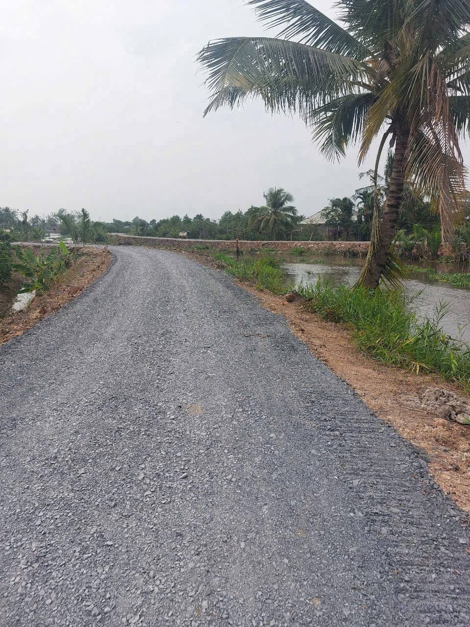 Đất vườn Bình Đức, Bến Lức 2400m2 view kênh, tiềm năng lên thổ cư