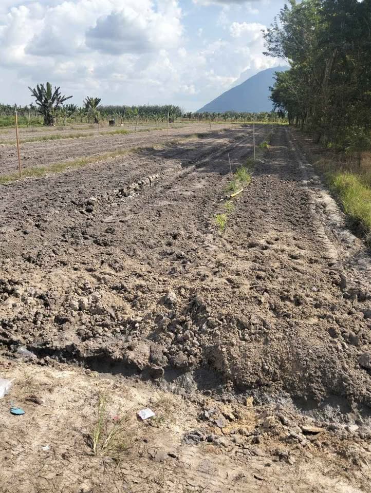 Đất xịn sò, diện tích khủng, giá hời, hốt nhanh kẻo lỡ