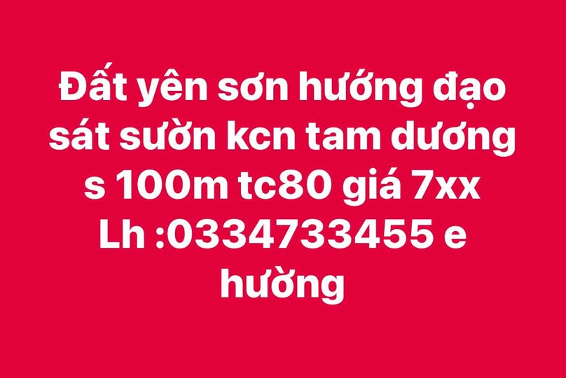 Đất vàng sát KCN Tam Dương - Cơ hội đầu tư không thể bỏ lỡ