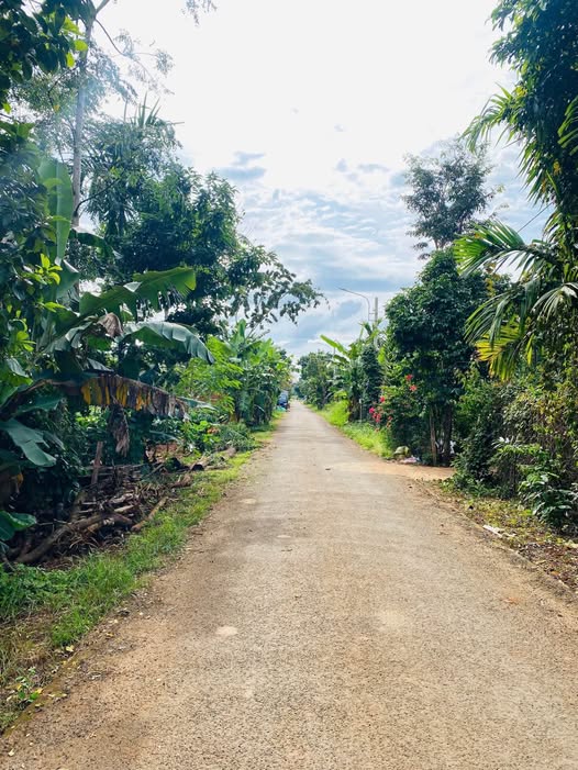 Mảnh đất vàng mặt tiền KA7 EATU, Phường Tân An, Thành phố Buôn Ma Thuột lộc tài sinh vượng khí