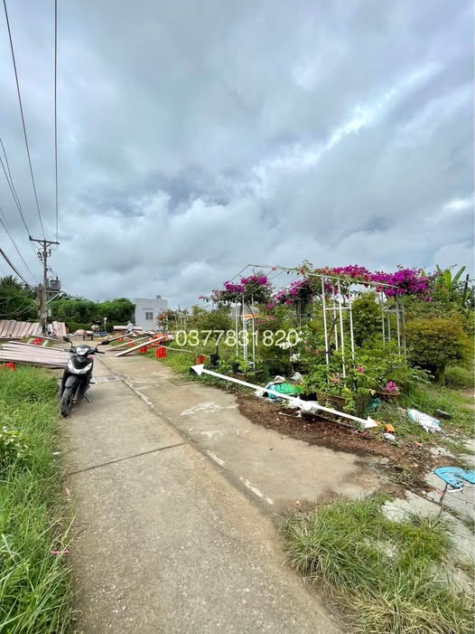 Bán đất mặt tiền Dal nhánh Làng Nghề Phường 4, Trà Vinh