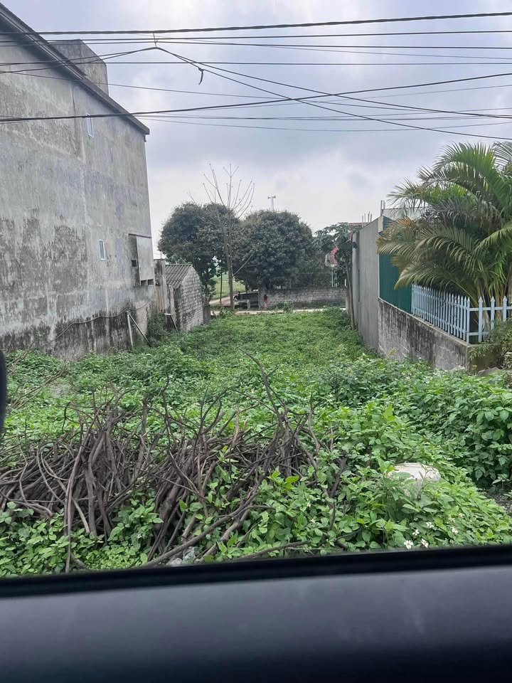 Cần bán đất nền diện tích 260m2 tại Kim Bảng, Hà Nam