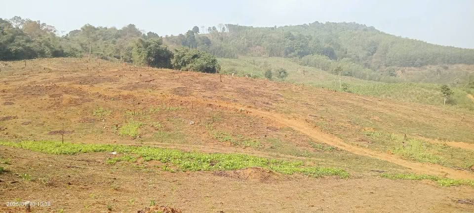 Khu đất Kim Bôi - Hòa Bình tuyệt đẹp như thảo nguyên, diện tích 6.8ha, 400m thổ cư