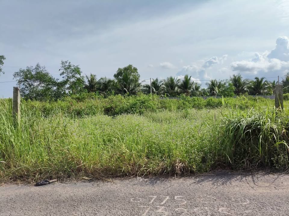 Đất mặt tiền nhựa, giá hời, chỉ 515 triệu, nhanh tay kẻo lỡ