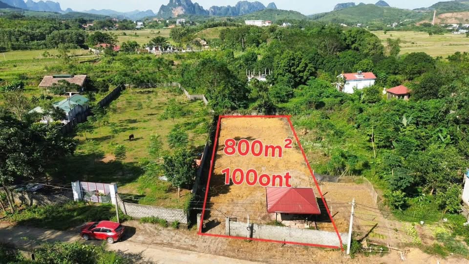 Đất vườn xinh Hòa Bình 800m2 thổ cư, giá hời chỉ nhỉnh 3 tỷ