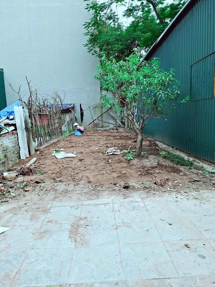 Đất tái định cư Thanh Am 60m2 vuông vắn, ô tô đánh võng, nở hậu, giá 15 tỷ