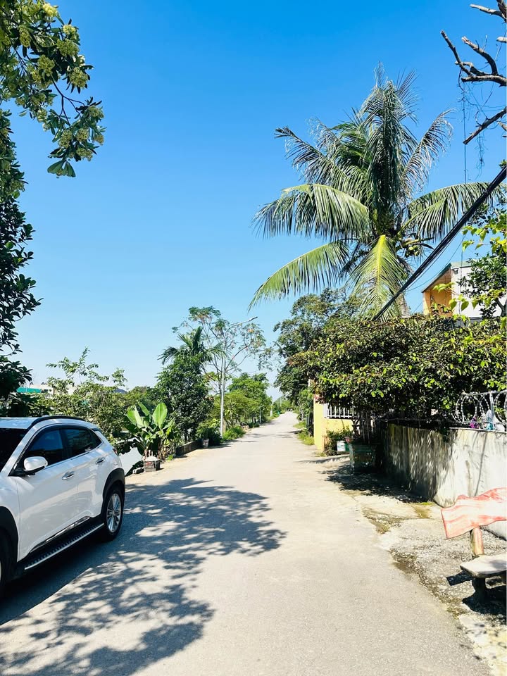 Đất sông Dã Tượng view mát lành, lộ thông tứ phía, gần tiện ích