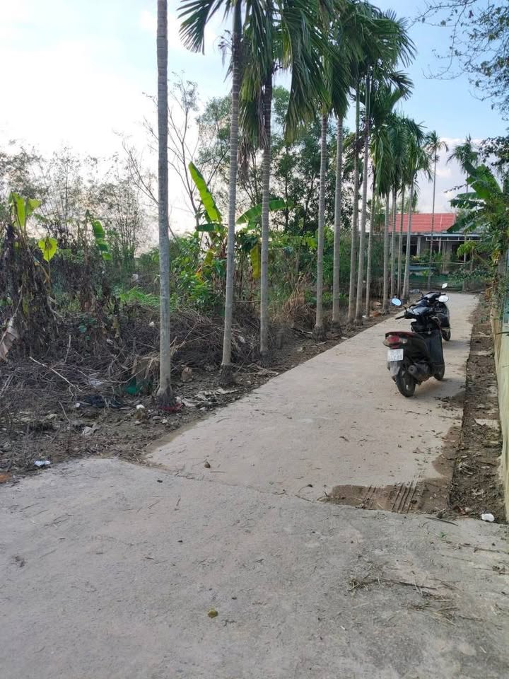 Nhà Nho Lâm, Quảng Phú, bán lỗ sấp mặt, lụt lội gì tầm này