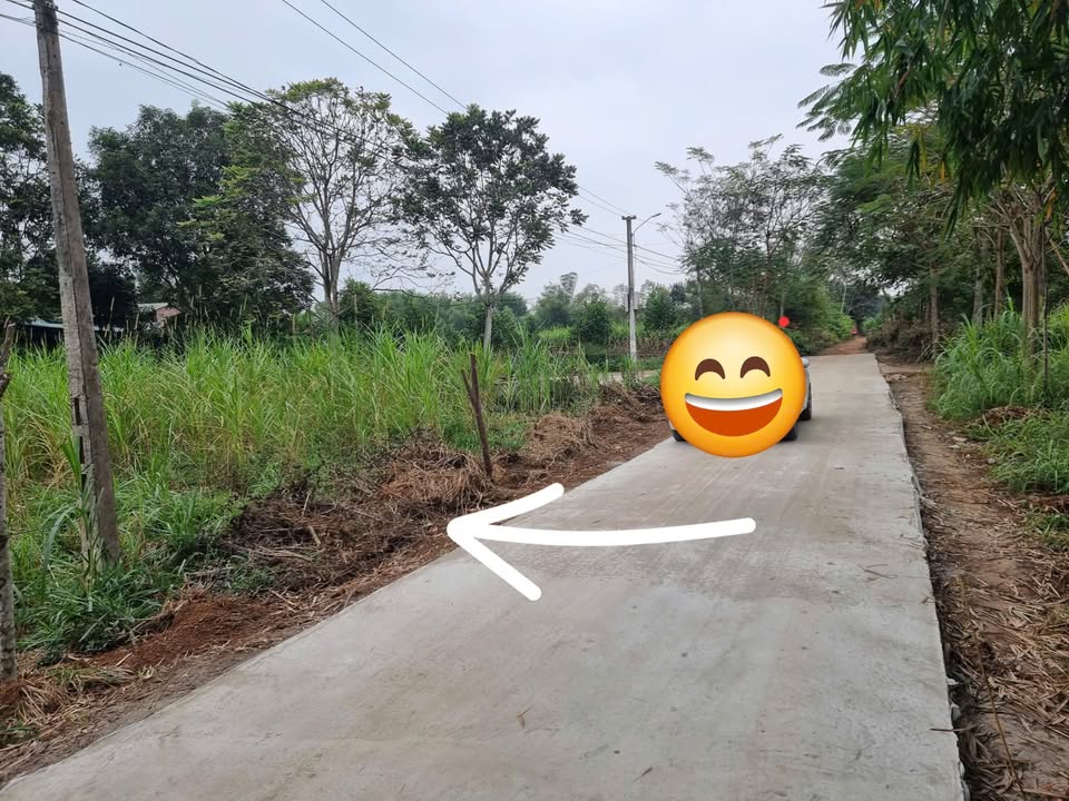 Đất rộng 1000m2, bám đường thông thoáng, sổ hồng sẵn sàng giao dịch