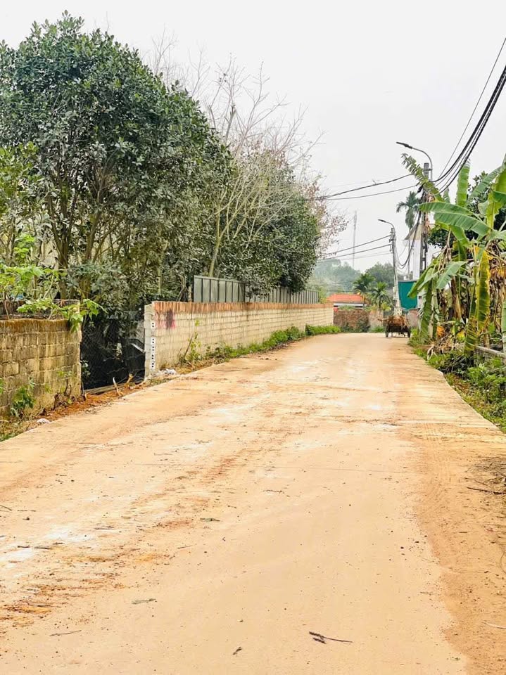 Bán đất thổ cư 112m2 tại thôn Trại Giềng, xã Thanh Vân, huyện Yên Lạc, tỉnh Vĩnh Phúc