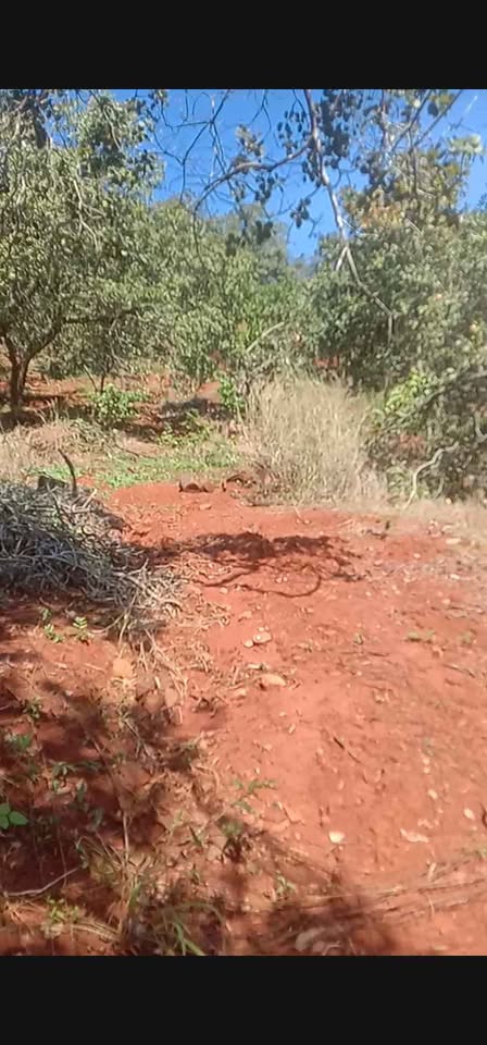 3.4ha đất vàng Thạch Màng - Lợi nhuận bất tận