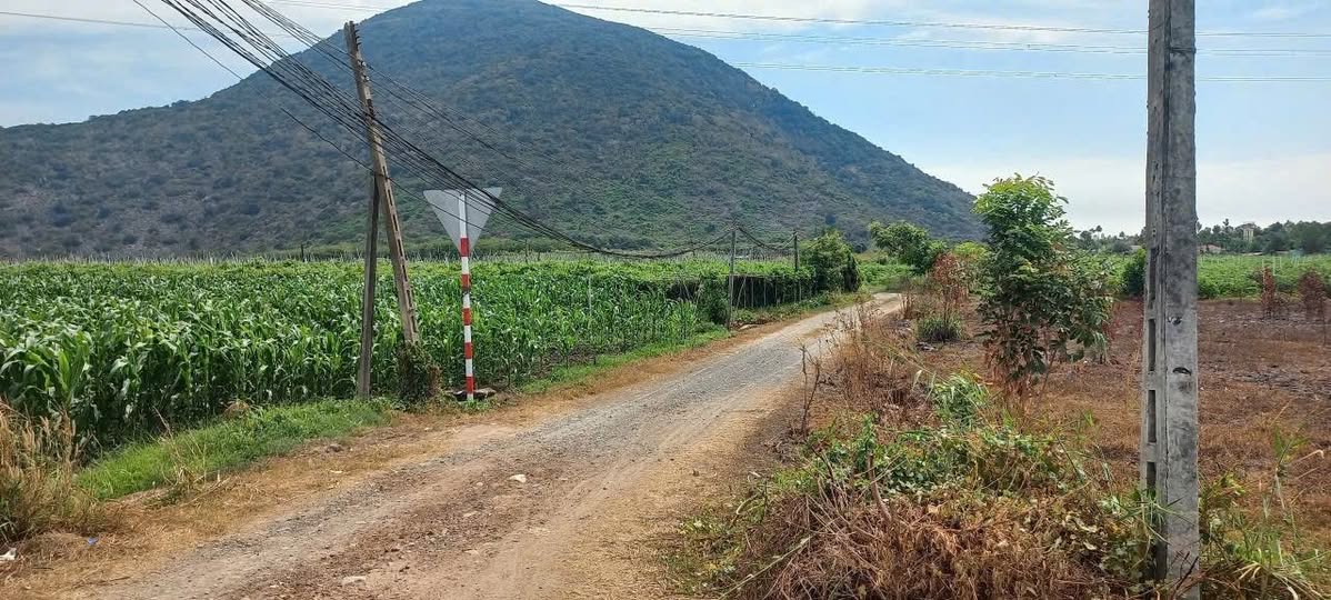 Bán gấp đất nền 1122m2 tại Thạnh Tân, Tây Ninh giá ưu đãi