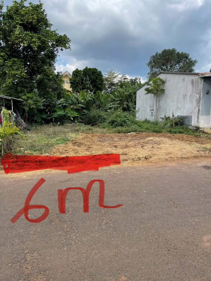 Đất mặt tiền Hòa Khánh, view trường học, giá yêu thương chỉ 750 triệu