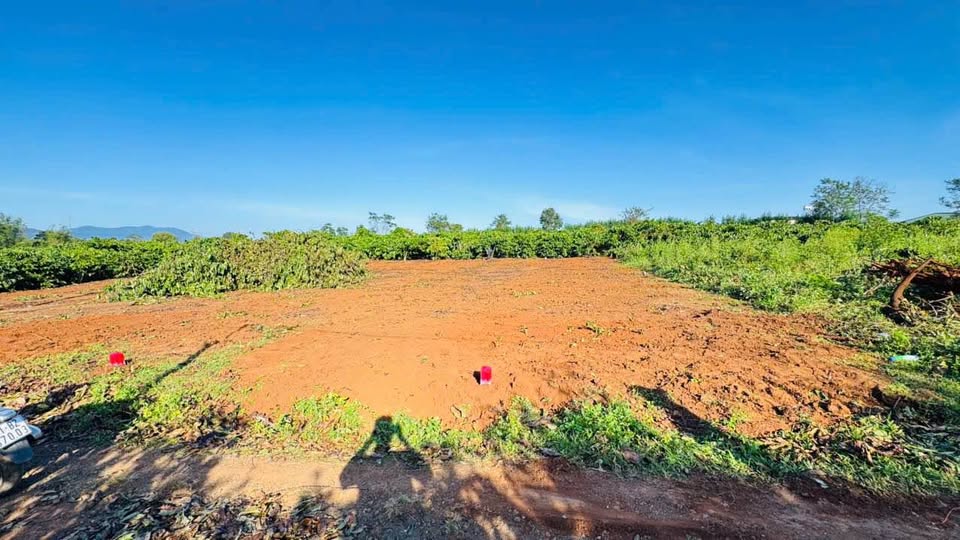 Siêu phẩm đất nền tại hẻm chính 104 Trần Văn Ơn, tỉnh Gia Lai, chỉ còn duy nhất 1 lô đẹp lung linh