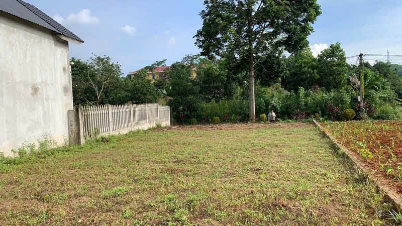 Bán gấp 950m2 đất thổ cư mặt tiền rộng 40m tại trung tâm xã Phú Thịnh