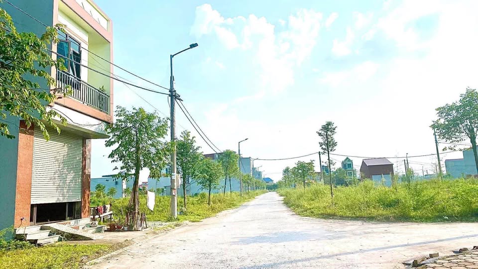 Đất vàng Quang Châu, Bắc Ninh, diện tích 144m2, mặt tiền 8m, sổ hồng sẵn sàng