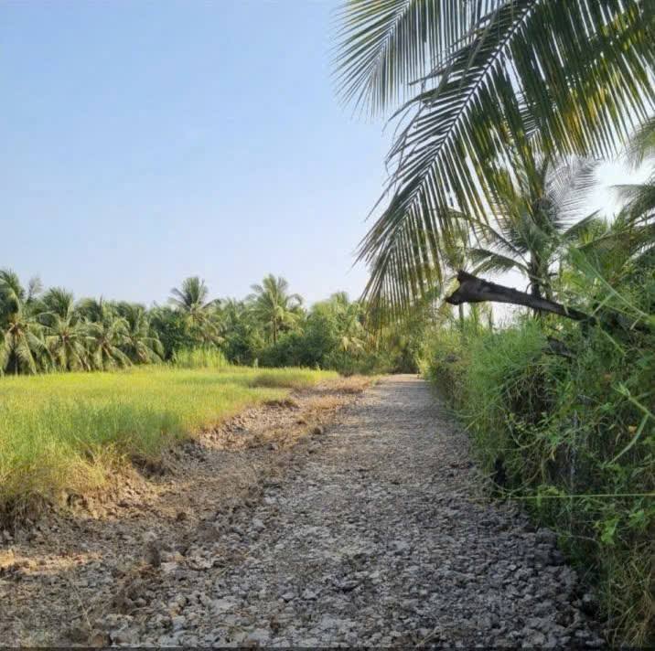 Đất vàng Phú Tân ngang 9,95m, sổ đỏ 245m2, giá cực hời