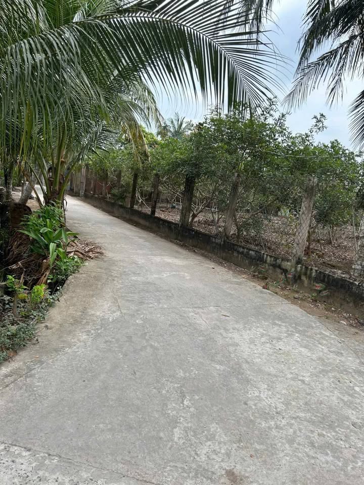 Nhà 193m² 3 phòng ngủ giá 750 triệu tại Châu Thành, Tiền Giang sẵn sàng dọn vào ở ngay