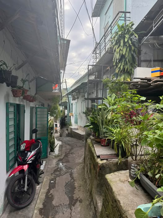 Đất vàng hẻm Hoàng Văn Thụ sổ đỏ hợp lệ, dân cư đông đúc