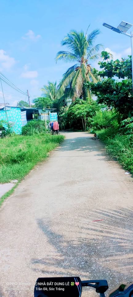 Đất ruộng mặt tiền lộ dal, diện tích 22 công tại Viên An, Trần Đề, Sóc Trăng