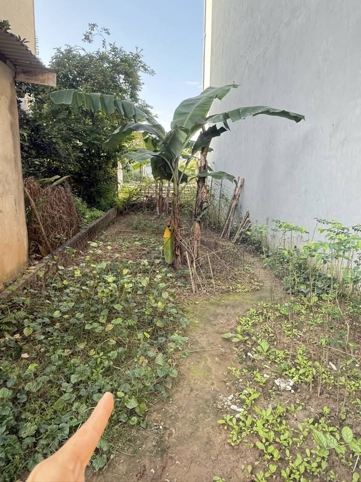 Bán đất Yên Sở, Tam Trinh 56.8m2, mặt tiền 4.2m - Cơ hội đầu tư sinh lời