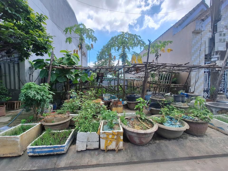 Bán đất nền Tam Kỳ 114m2, hướng Tây Nam, giá 1,9 tỷ