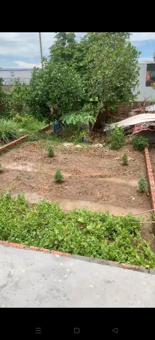 Bán lô đất Tân Vũ 2, Tràng Cát 47,8m2, ngõ ô tô rộng rãi