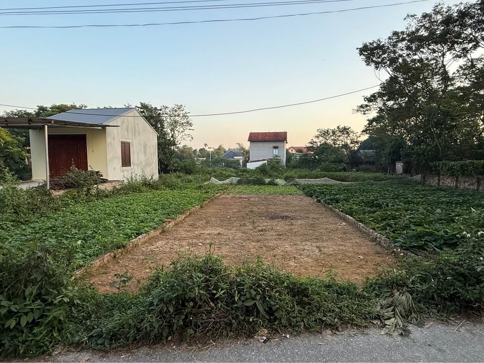 Bán đất thổ cư 111,6m² Vĩnh Phúc, gần chợ, trường học, khu biệt thự