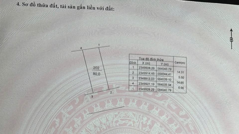 Đất Xuân Bách - Nội Bài, kinh doanh đỉnh, tiện ích đầy mình, nhanh tay kẻo lỡ